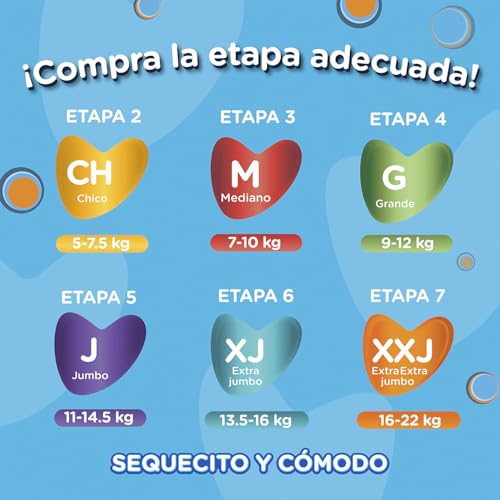 Imagen adicional