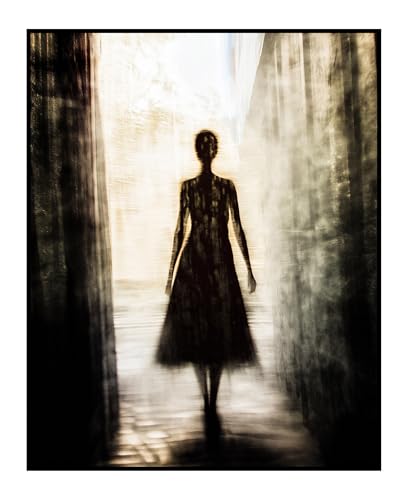 Posterizer 1 pcs - black and white art - a shadow figure in the light -1 - Fantasy & Fiction Art - Gift for Men Women Entrepreneur Teens Decor for Home & Office-11x14 unframed wall art