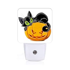 Black Cat Lying On Pumpkin