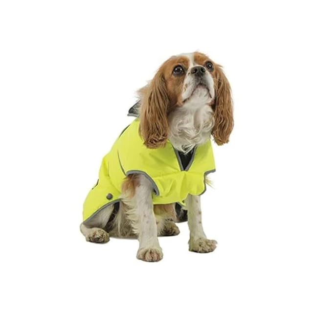 Ancol Muddy Paws - Abrigo de protección contra tormentas para Todo Tipo de Clima, Alta Visibilidad, Talla…