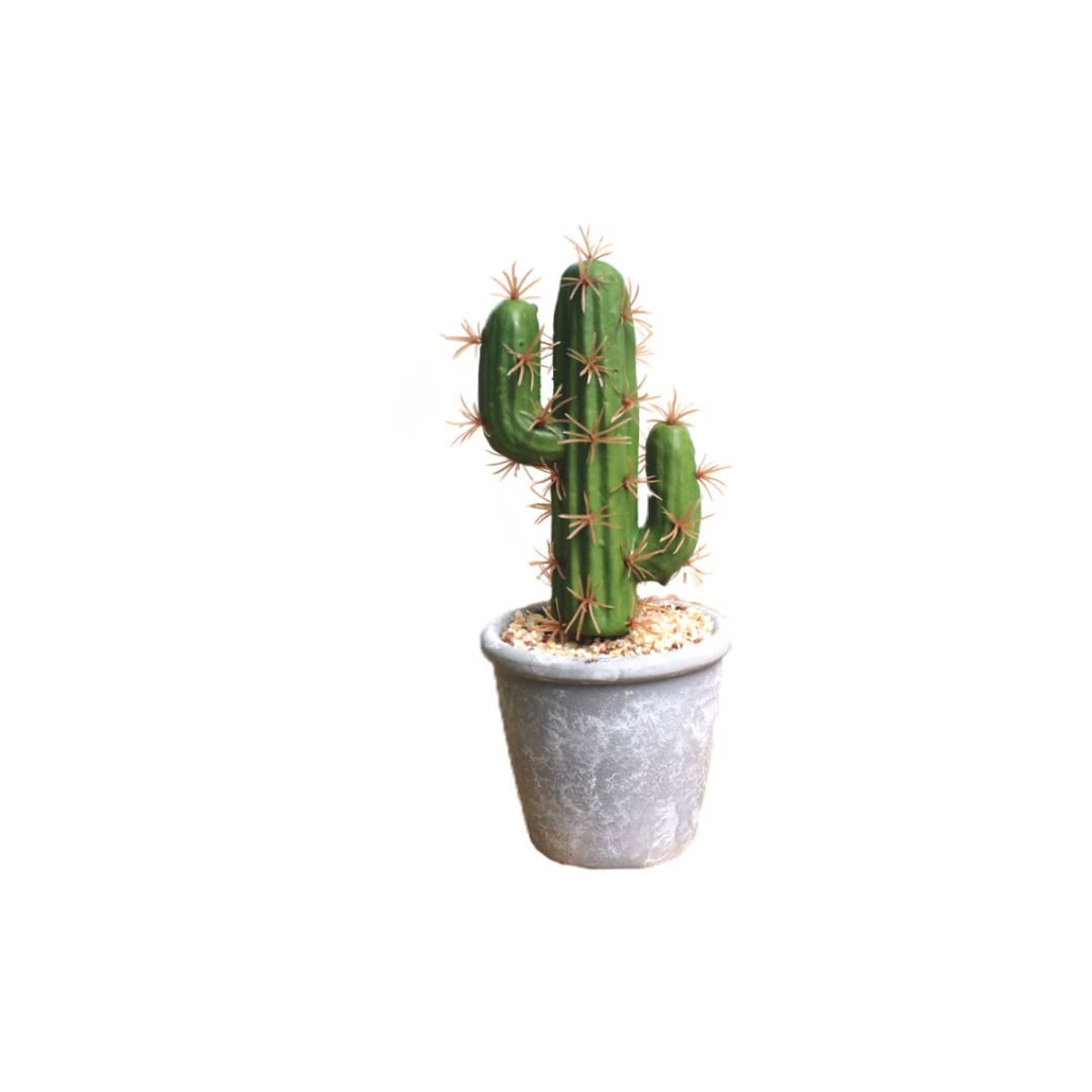 Cactus artificiel pour salon et terrasse fleur decorative exotique