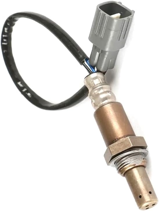 □極美品 オールドニッポン 薩摩 エッグシェル 金彩 菖蒲図紋 トリオ