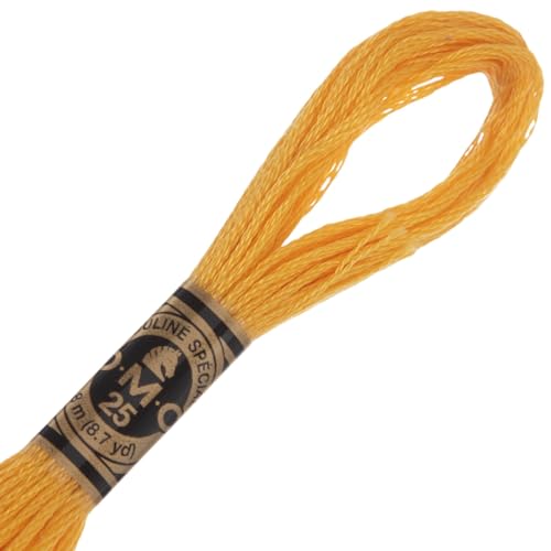Image of Hobby Lobby DMC Cotton Embroidery Floss - 725 Medium Light Topaz Set of 12