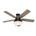 Hunter Indoor / Outdoor Low Profile Ceiling Fan with light and pull chain control - Mill Valley 52 inch, Black, 59310