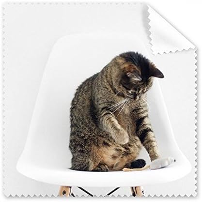 Animal Funny Action Cat Shoot Cleaning Cloth Phone Screen Glasses Cleaner 5pcs image 2