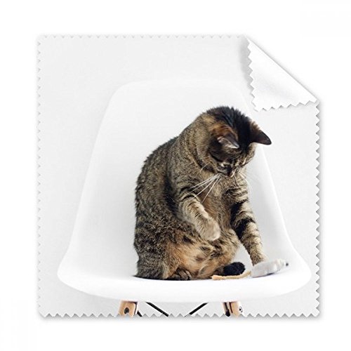 Cadeau drôle chat chiffon de nettoyage pour verres et smartphone