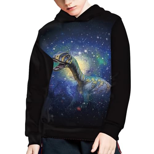 Boys Girls Hoodies 3D Printed Dinosaur Hooded Sweatshirts Casual Long Sleeve Pullover with Pocket for 6-16 Years