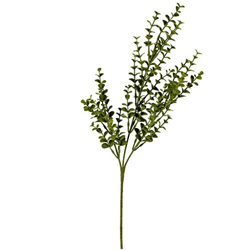 26 Green Eucalyptus Bush Pk/4