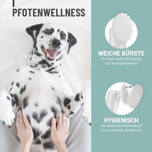 ReaVET Pfotenreiniger für Hunde mit Pfotenschaum, Hundepfoten Reiniger, Pfoten waschen Hund ohne Abspülen, Pfotenpflege mit Hamamelis & Gurke, Dog Paw Cleaner, Paw Foam Cleaner 150ml