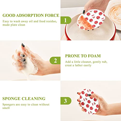 Image of susiyo Red Apples Fruits Sponges Kitchen Dish Sponge 3 Pcs Compressed Scrub Sponges for Washing Dishes