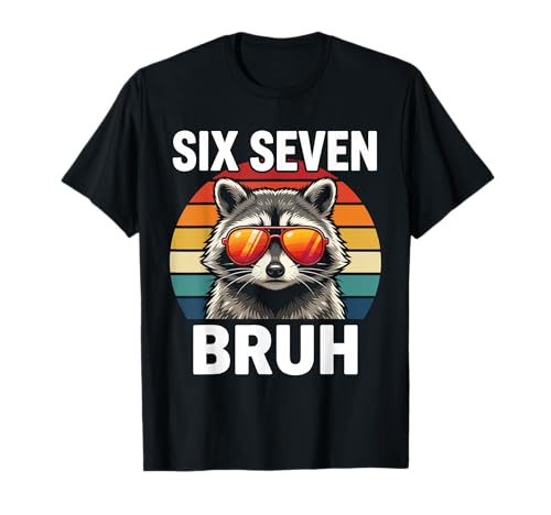 Coole Retro Six Seven Bruh Raccoon Sonnenbrille Meme 67 T-Shirt