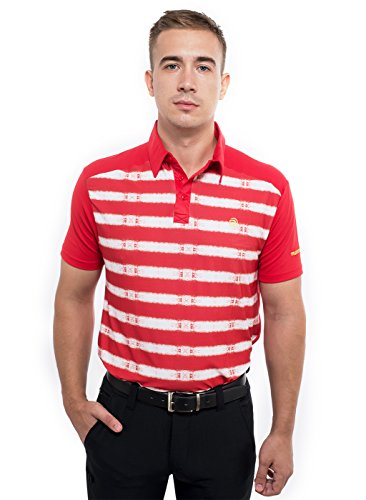 Image of TRUEREVO Sports Stretchy Dryfit Striped Golf Collar Tshirt for Men