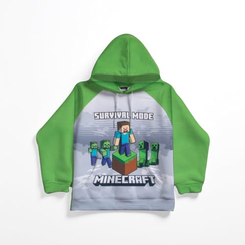 Minecraft Boys Minecraft2