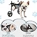 WSPWFQ Dog Wheelchair - Reflective Strips & Explosion - Proof Leash, Breathable Mesh, Multi - Size for Small - Medium Dogs (XS - M)(S)