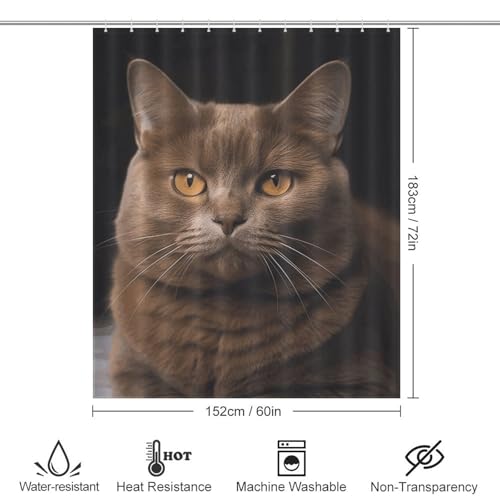 Rideau de douche chat marron imperméable 152x183 cm avec crochets