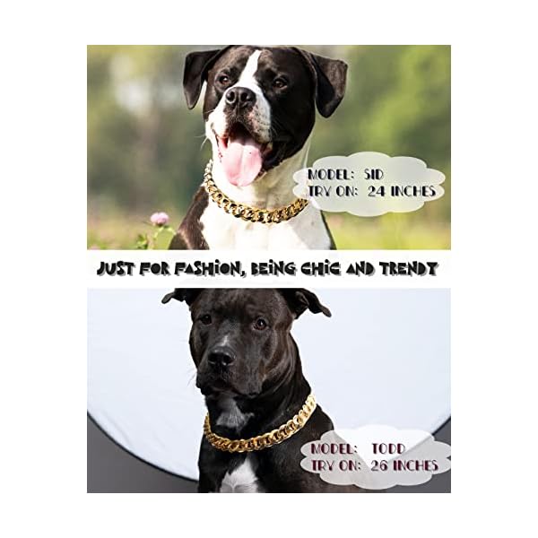 Cuban Link Dog Collar - Stylish and Durable Accessories for Your Pooch