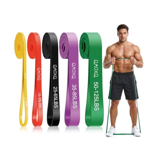 Resistance Bands Set, Workout & Pull Up Assistance Bands for Home Gym