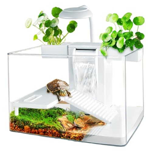 Aquarium, kit d'habitat pour Tortues avec Zone Multifonction et Filtre à Eau Complet pour Tortues et Animaux Aquatiques