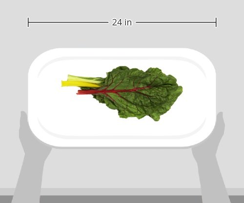 Organic Rainbow Chard, One Bunch