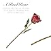 Forever Rose Hand-Dipped in 24K Gold, Ruby Red-Inspired July Birthstone with Sparkles, Real Rose in Leather Case with LED Light – Perfect Ready to Gift for July Birthday or Any Occasion