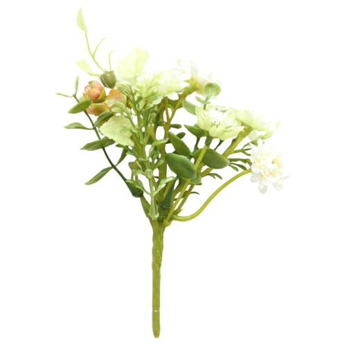 ȁ[ނ܂H[ ԁirj dp̑ 15cm STCY ()