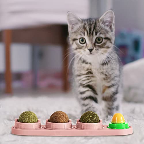 Catnip gato | Bolas comestíveis lanche gato seguro com catnip natural saudável,Bolas comestíveis nat