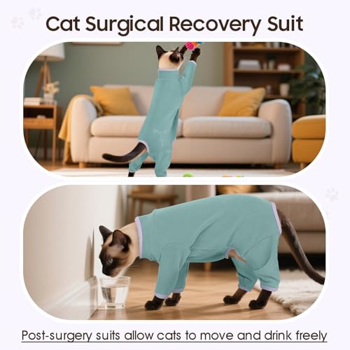 DENTRUN Cat Clothes for Hair Control with Hair Sticky Fabric - Soft Recovery Suit & Breathable Lint-Resistant Cat Sweater for Cats Only, Kitten Onesie Pajamas, S, Bean Green - Image 4