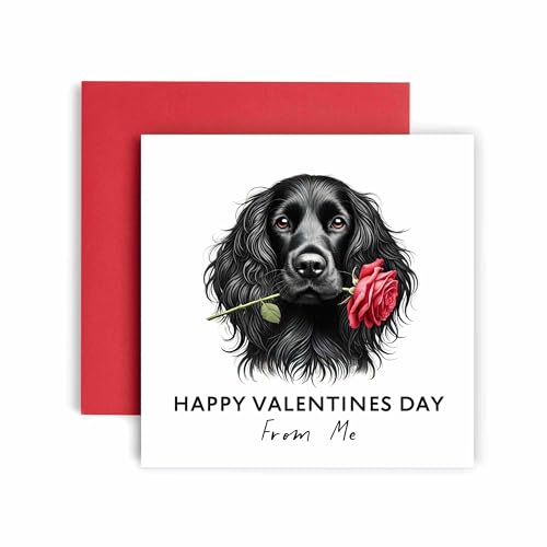 Huxters Valentines Card from the Dog – Cocker Spaniel Black - Happy Valentines to Dog Mum and Dog Dad – Dog Best Friend (Cocker Spaniel Black)