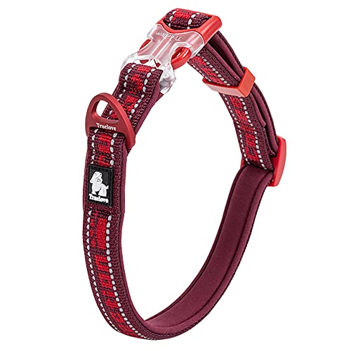 J&C Paradise   {KX ChAWX^[ 3M lIv \tg ȒP TRUELOVE (S, Cbh)