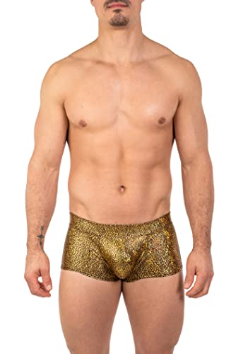 Gary Majdell Sport Mens New Printed Hot Body Boxer Swimsuit