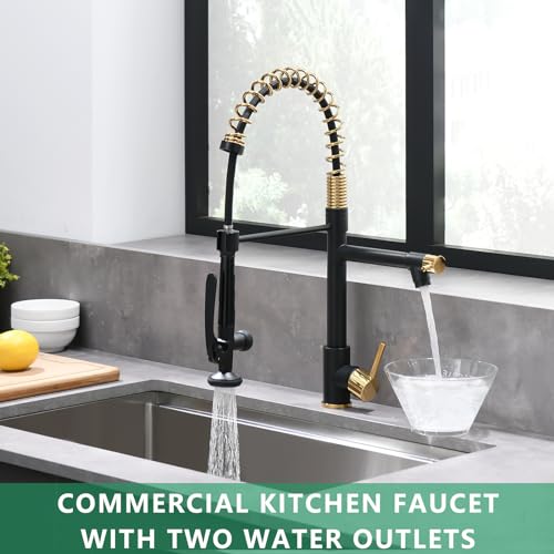 Image of Fapully Black&Gold Kitchen Faucet with Sprayer,Commercial Pull Down