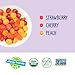 YumEarth Organic Fruit Snacks Box, 0.7 Ounce (Pack of 10)