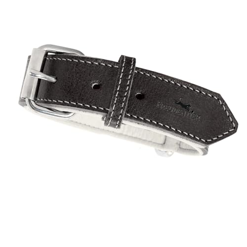 FREUDENTIER® Hundehalsband aus Leder, Made in EU, gefüttert & super komfortabel, hochwertiges breites Lederhalsband aus Vollnarbenleder, Model “Amstelpark” (Midnight, 37-47cm Halsumfang)