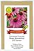Roter Sonnenhut - Echinacea purpurea - Bienenweide - Zier- / Arzneipflanze - 200 Samen