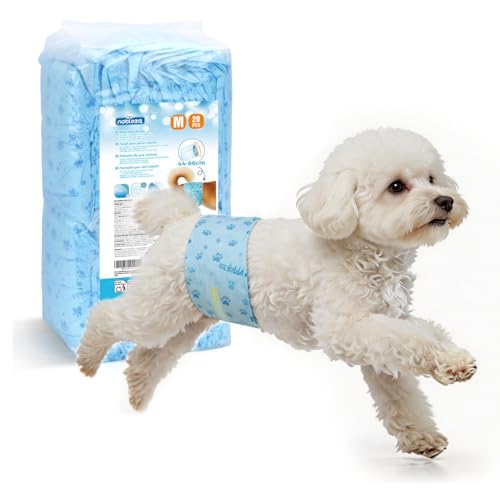 Nobleza Pañales para Perro Macho Talla M (34-50cm) - 20 Unidades - Desechables con Antifugas 360° - Núcleo de Gel UltraAbsorbente para Incontinencia y Viajes