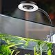 Pawfly 6 W LED Aquarium Licht für 3,8 L-38 L Aquarien Anklipsen Aquarium USB Mobil Aquarium Lampe mit Vollem Spektrum Dimmbar Weiß Blau Rot Grün Lichter mit Timer (Adapter nicht enthalten)