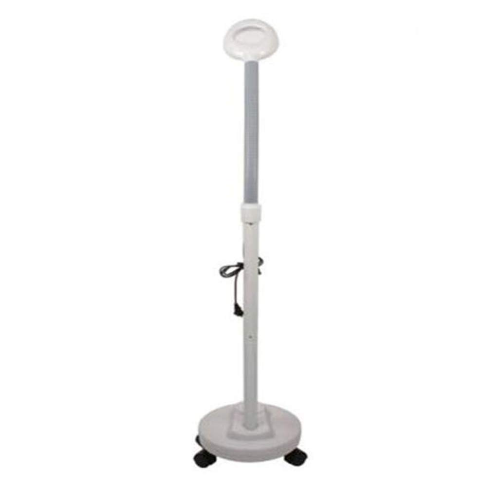 Powiększająca lampa podłogowa LED, światło dzienne z lupą o jasnym świetle, szkło powiększające 3x, elastyczna regulowana wysokość, gęsia szyja, zimne światło do czytania Salon Beau (kolor: A)