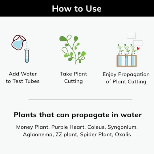 Lazy Gardener Timber Grove Wooden Test Tube Planter Stand | Timber Grove Hold...