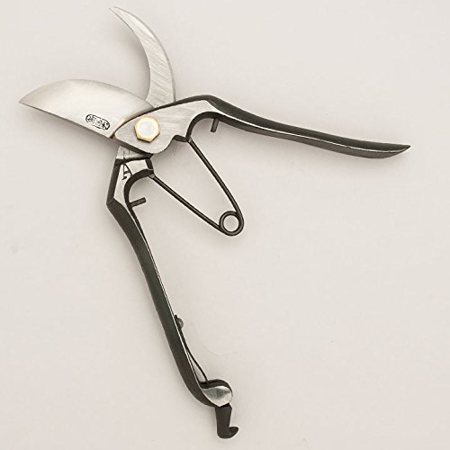 Amazon | 東北打刃物 新国光 剪定鋏 8インチ | 園芸用はさみ