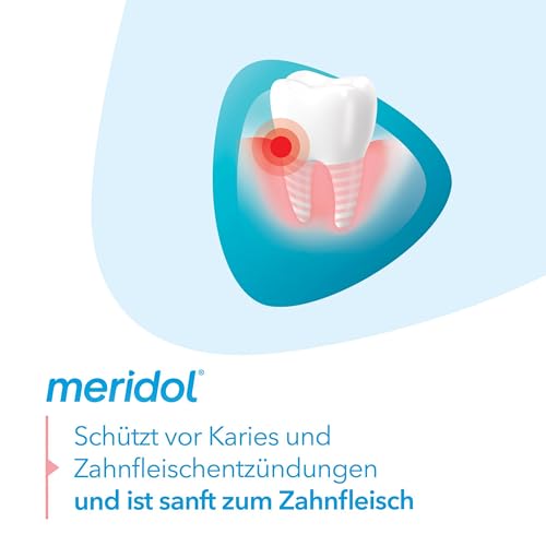 meridol Flausch-Zahnseide, 40m - Zahnseide zur gründlichen und sanften Reinigung der Zahnzwischenräume, verringert das Risiko für Entzündungen des Zahnfleisches mit frischem Mint-Aroma ,(1er Pack)