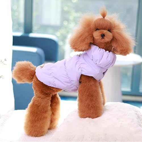 [GIIPET]���� �_�E���x�X�g ���ȓ��� �y�b�g �R�[�g �H�~ D�J���t�� ���킢�� �L�� �~�� ��V�ѕ� �h? �h���R�[�g �_�E���W���P�b�g ���{�A �g���� �����΍� �q�� �`���� �E�ѕی� ���U�� ���^�� ���^�� �q�� �L�p