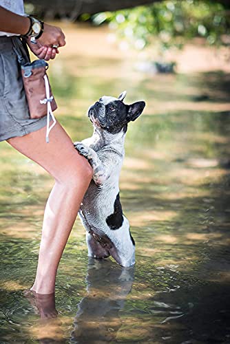 big buddy® Snacktasche Futterbeutel für Hunde | 3er Set | Leckerlietasche für Hundetraining, Hundesport & Spaziergänge – Grün