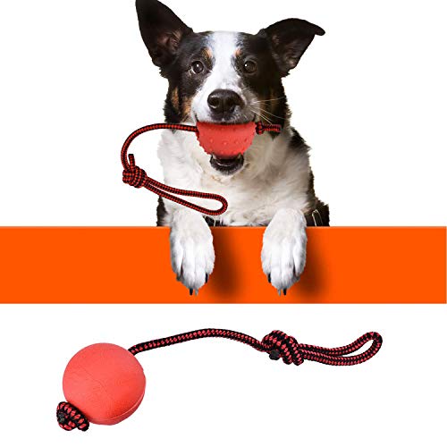 Enzege 3 Stück Hundespielzeug Ball, Naturkautschuk Wurfball Hund mit Seil, Schleuderball für Hunde