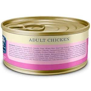 Blue Buffalo Homestyle Recipe Adult Small Breed Wet Dog Food, Made with Natural Ingredients, Chicken Recipe, 5.5-oz. Cans (24 Count)