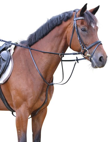 Covalliero Martingal Leder, schwarz Full