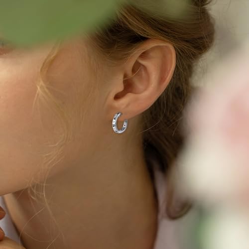 Paw Print Earrings for Women Sterling Silver Cute Pet Puppy Cat Dog Paw Print Hoop Earrings Hypoallergenic Cubic Zirconia Dainty Loop Jewelry Gifts3