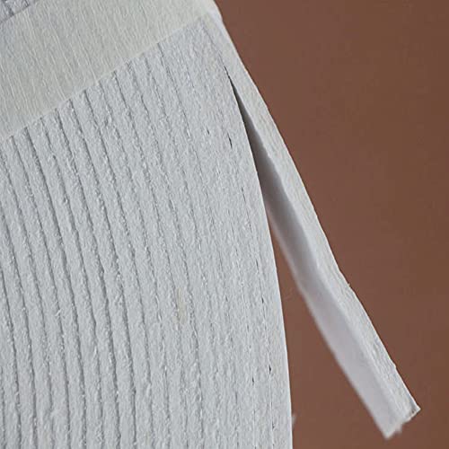 Goonsds Ceramic Fiber Fireproof Tape - High Temperature Flat Gasket Tape Insulation Length 15M/49Feet,Width 10Mm Thickness 4Mm #TOP7