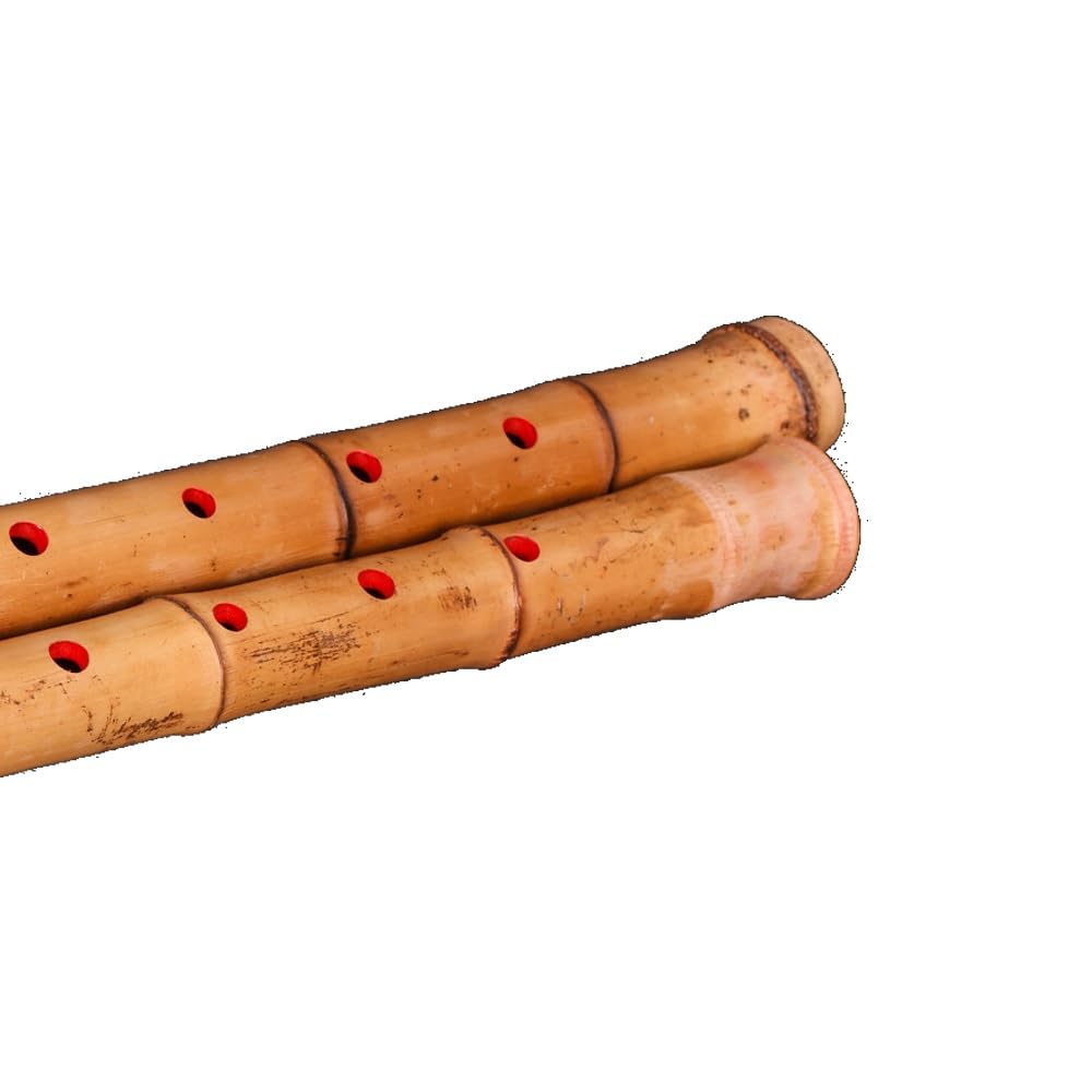 Giappone shakuhachi radice di bambù naturale shakuhachi tutto vegetariano shakuhachi bambù esportazione Giappone shakuhachi cassia bambù shakuhachi (Color : Key of F)