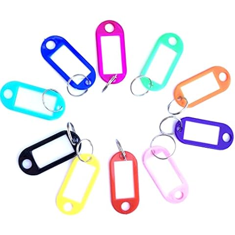 Keyring Key Tags with Label Key fobs with Labels keyrings 10 Pcs for Luggage Pet Name Memory Stick Tags, Assorted Colours Cover