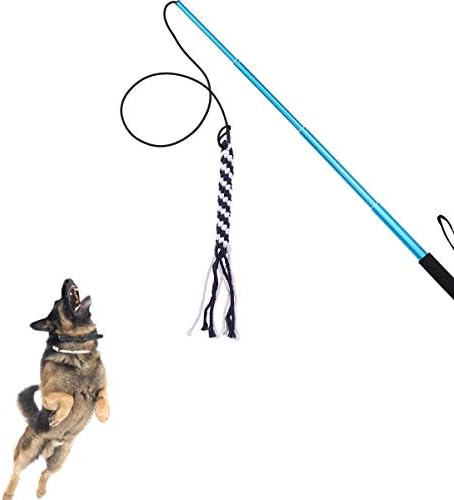 UEETEK Extendable Flirt Pole Rope Tug Dog Toy, Outdoor Interactive dog toy for Pulling, Chasing, Chewing, Training,Exercising - Blue Size L